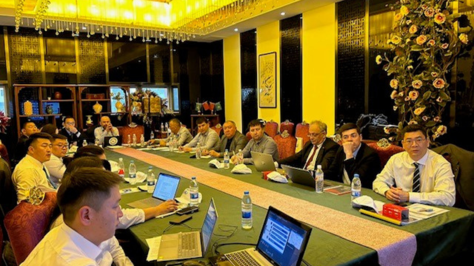 China-Europe TIR workshop explores best practices, green lane benefits 3