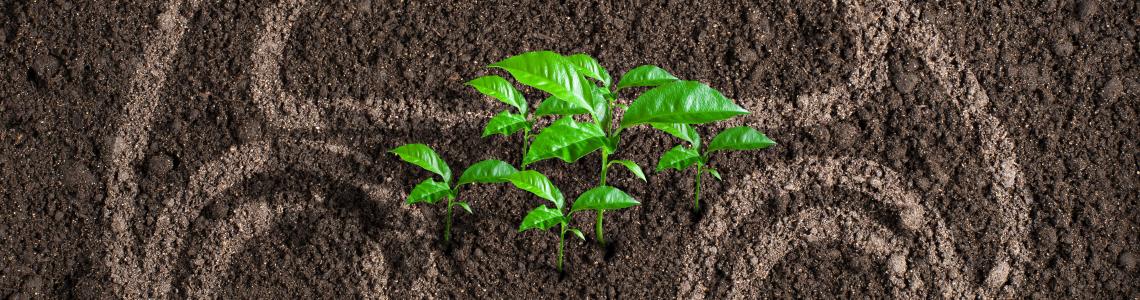 sustainable freight transport systems