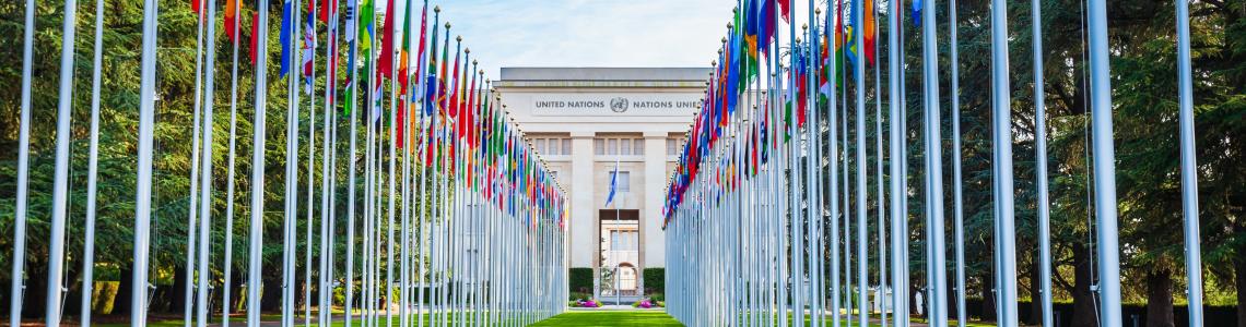 Institutional partners