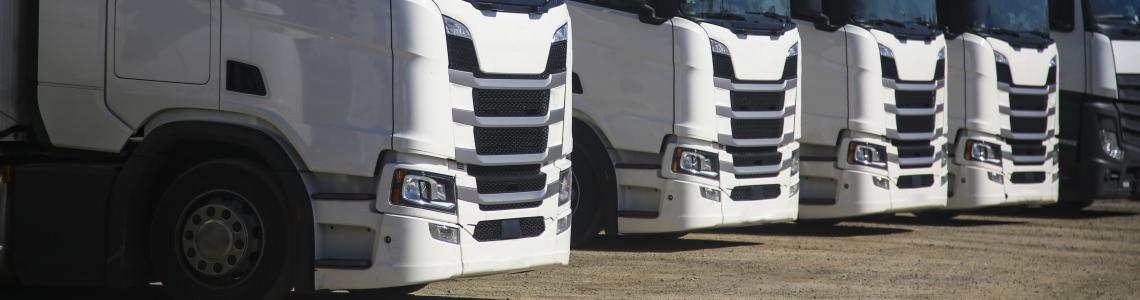 Greening fleets: the transition&rsquo;s true enablers 