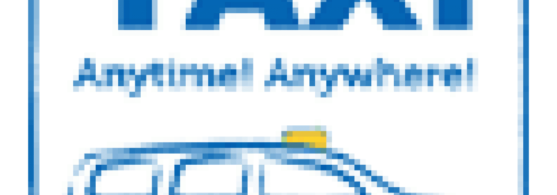 Taxi factsheet &ndash; Accessible.