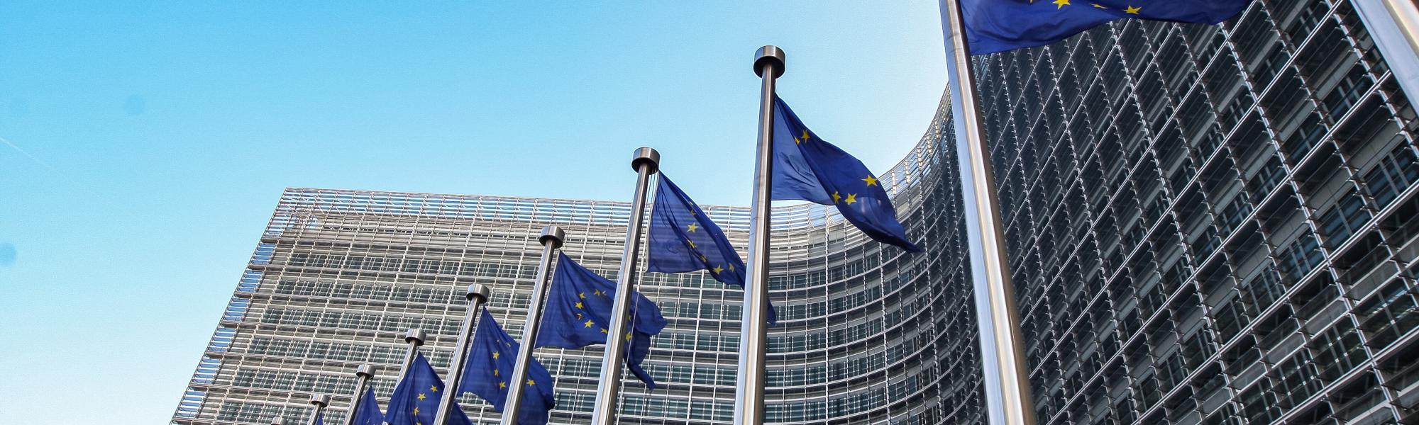 IRU takes over chairmanship of the EU road transport Sectoral Social Dialogue (SSD) Committee - European commission Brussels Belgium