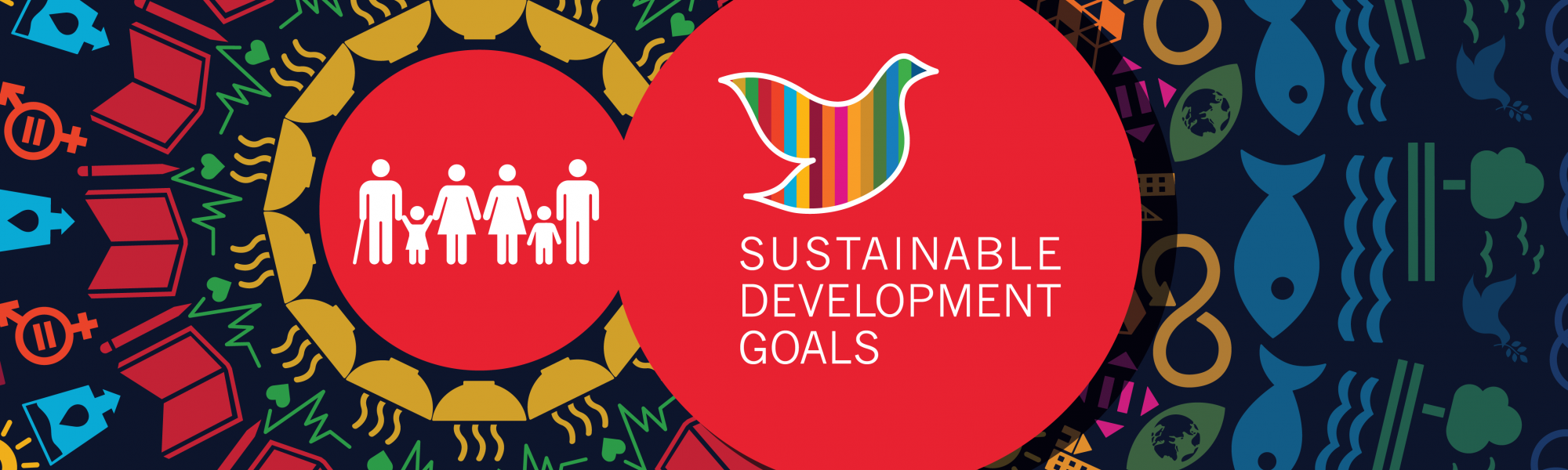 Road transport: a key solution to achieving the UN&rsquo;s Sustainable Development Goals (SDGs)