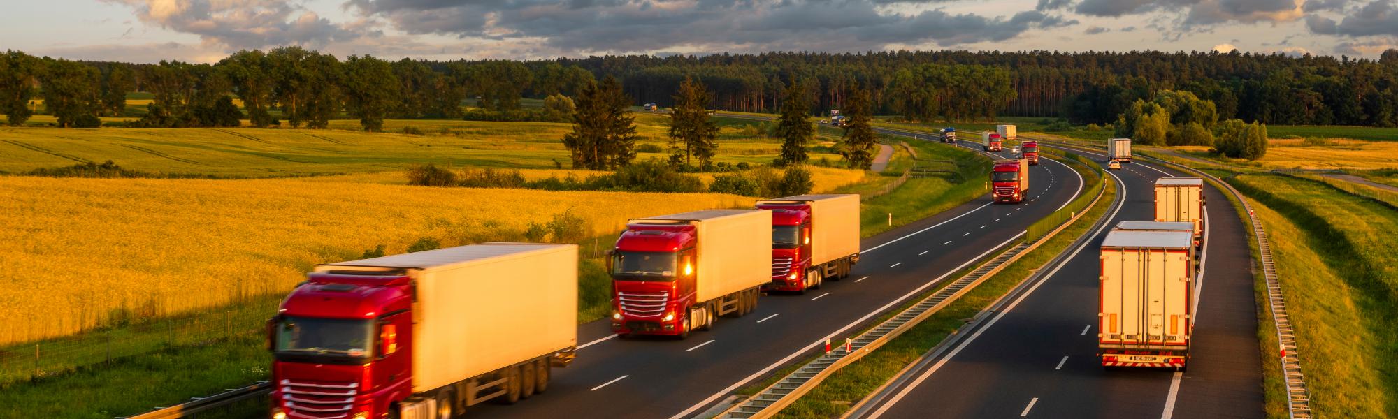 Road Freight sector calls on ENVI to include the sector&rsquo;s structural and financial needs in a sound EU ETS-road