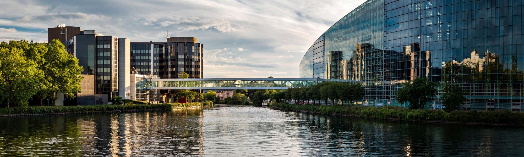 Strasbourg: MEPs back IRU on limiting EU Platform Workers Directive scope