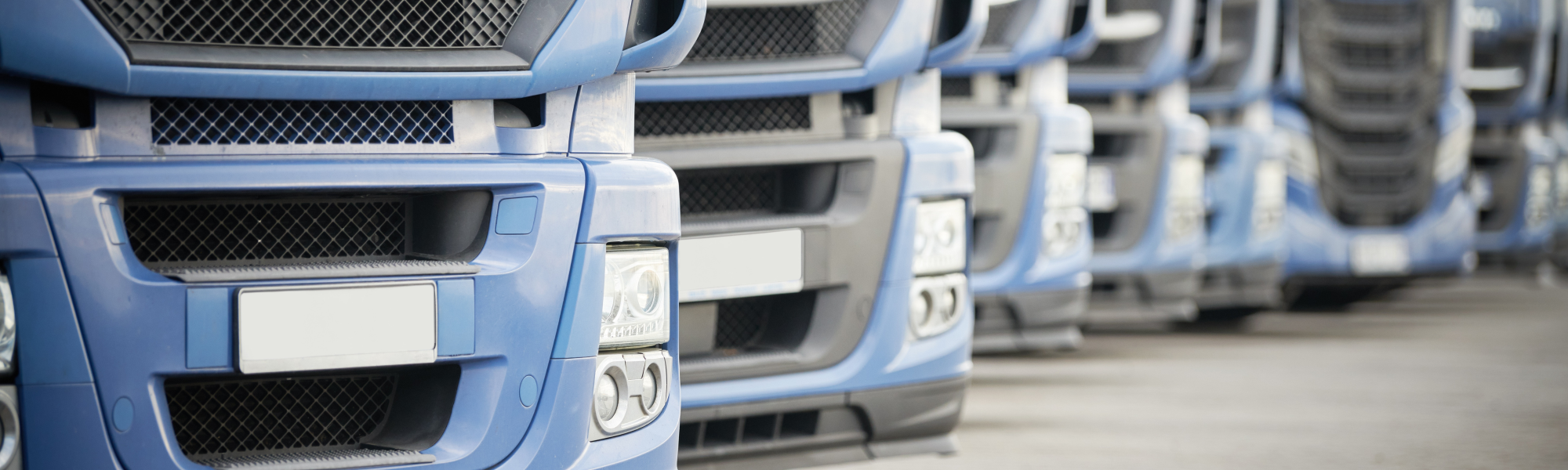 IRU&rsquo;s new European truck driver shortage report has found that over half of operators are unable to expand their business due to the shortage of drivers.