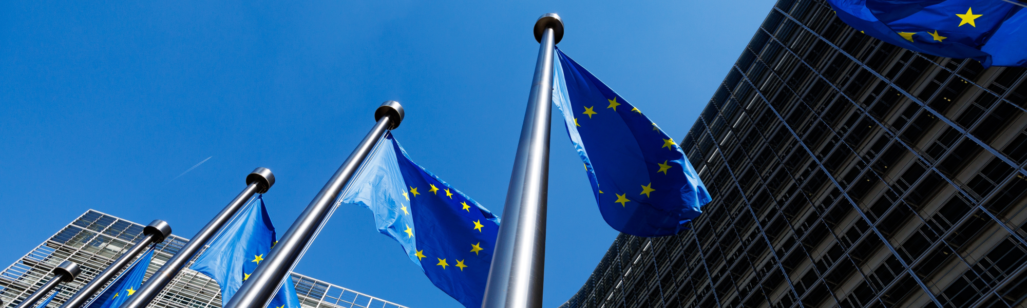 IRU will lead a fact-finding research project, financed by the European Commission, to explore the legal and administrative framework for third-country drivers to access the profession.