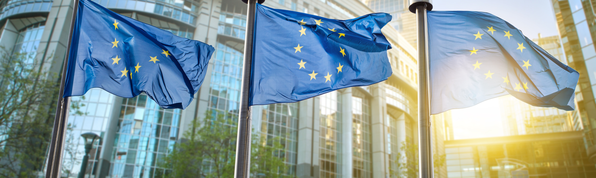 Industry leaders and Members of the European Parliament meet today to discuss and define the next steps for the EU commercial road transport sector.