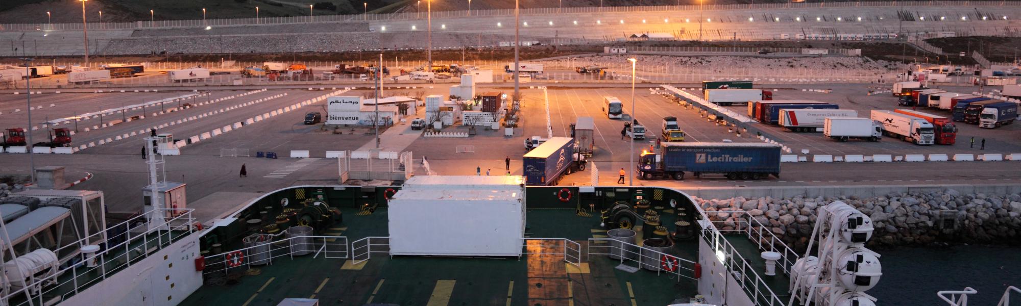 Saving cattle: swift action on live animal transport