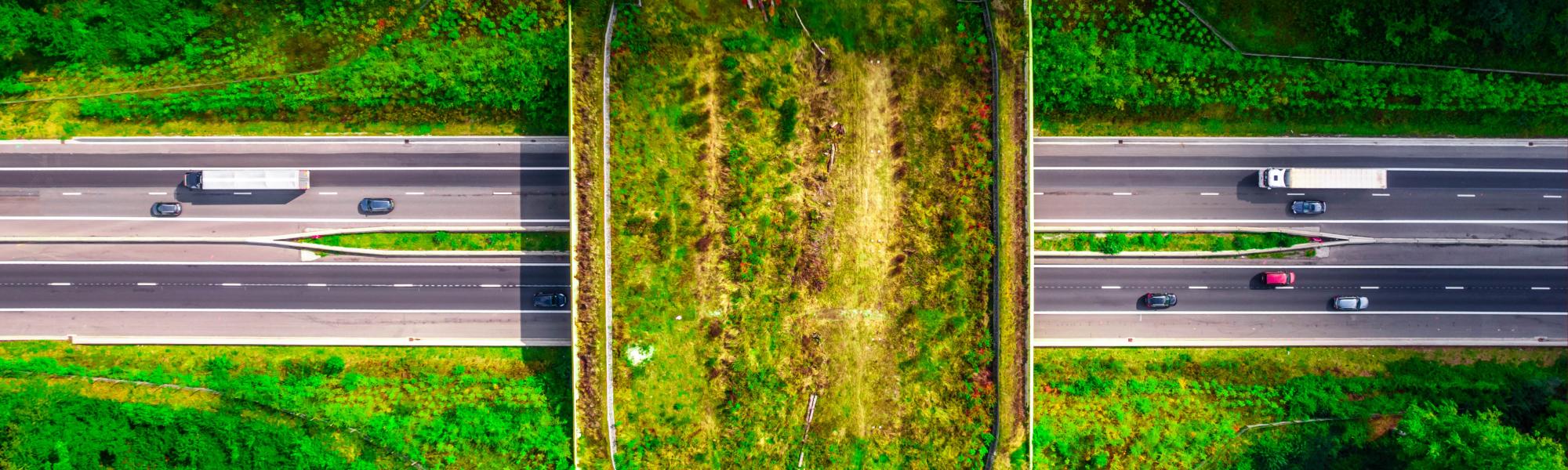 Road transport decarbonisation: &lsquo;Real-world impact is already happening&rsquo;