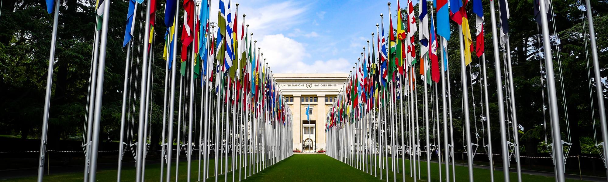 IRU puts trade and borders on agenda at key UN transport discussions