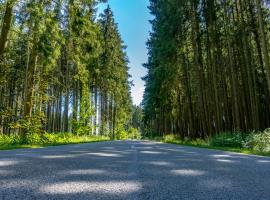 Законодатель: Европе нужен двигатель внутреннего сгорания