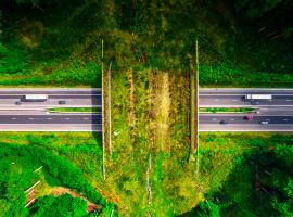 Road transport decarbonisation: &lsquo;Real-world impact is already happening&rsquo;
