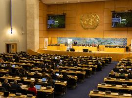 Конвенции ООН CMR исполняется 70 лет: что дальше?