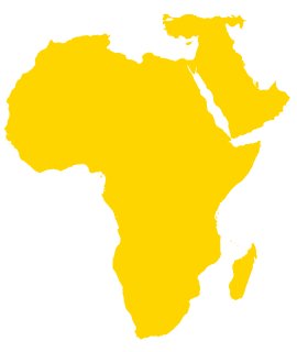 Партнеры IRU на Ближнем Востоке и в Африке